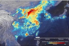 地球在自我拯救？专家发现：新冠疫情下的地球开始恢复盎然生机！